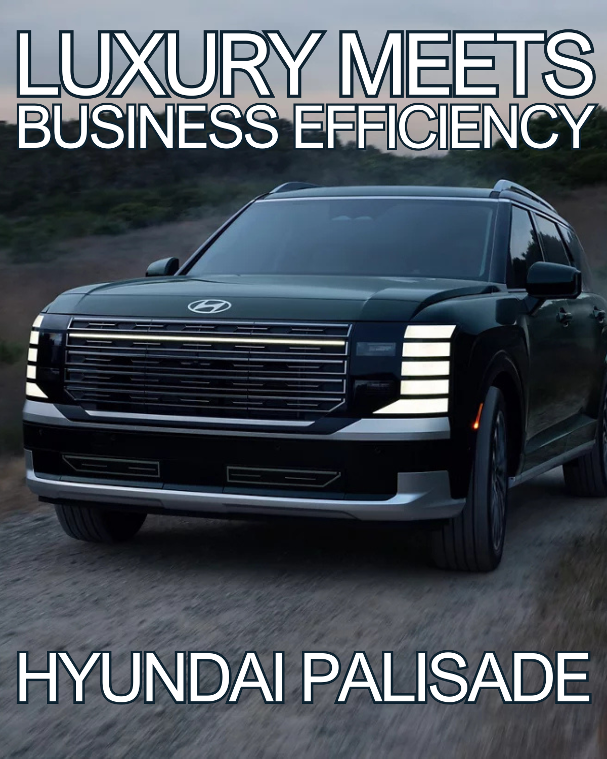 Palisade SECTION 179